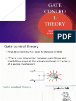 Gate Control Theory