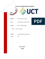 Proceso de Amparo PDF