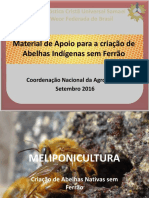 MELIPONICULTURA