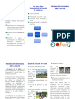 objetivos de la promoción de la salud.pdf