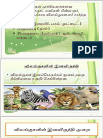 விலங்குகள் ஆண்டு 2 PDF