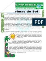 Ficha Lagrimas de Sol para Tercero de Primaria