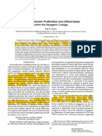 proli vs dif cel muscu MRF.pdf