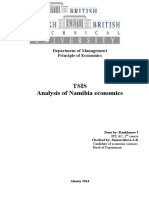 Tsis Analysis of Namibia Economics