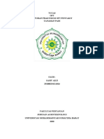 Praktikum Opt Penyakit Tanaman