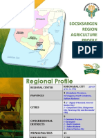 DA XII REGIONAL PROFILE As of 03052020