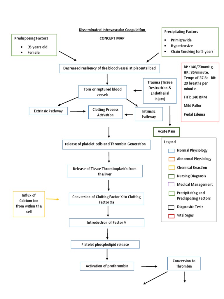 Disseminated Intravascular Coagulation Clotting Cascade