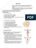 Lp 01 - ECG normal 1