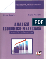 295808837-Carte-Analiza-Economico-Financiara.docx