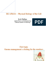 Physical Biology of the Cell Lecture on Estimating Genome Size and Biological Time Scales