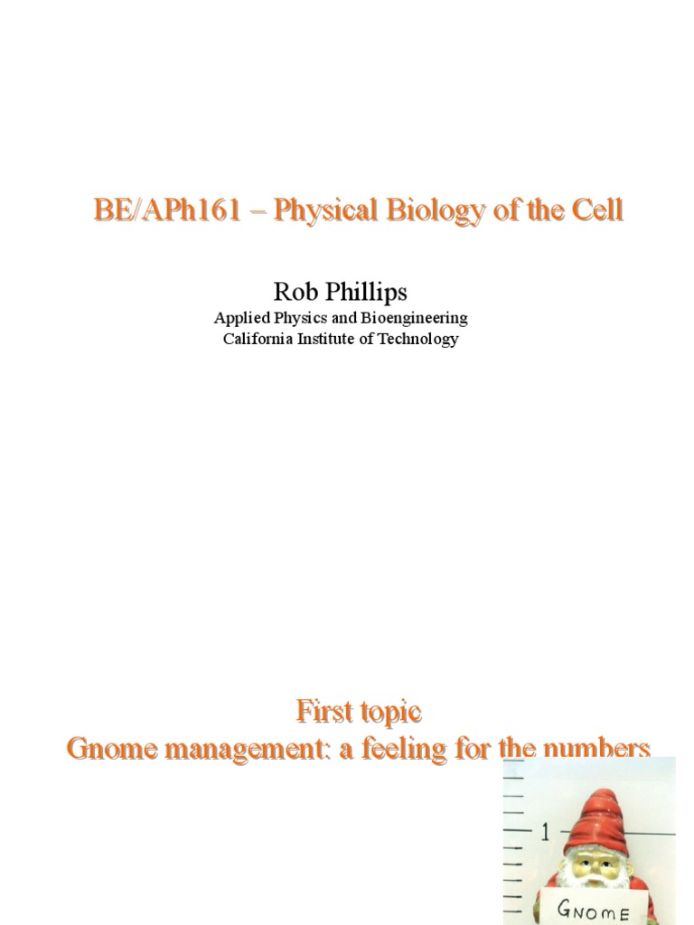 Estimating Temporal Scales in Biology Using Orders of Magnitude to