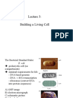 Building A Living Cell
