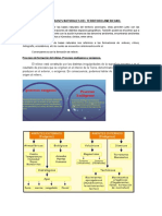 CLASE 9 Bases Naturales RELIEVES