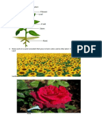 Data File in Science2 1. Draw and Label The Parts o F A Plant