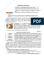 Tema 1 Comert PDF