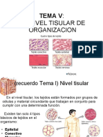 Tema v: El Nivel Tisular