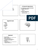 Anat 08 PDF