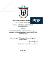 APROVECHAMIENTO DE LA CASACARA DE TUNA.pdf