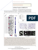 Multiorgan and Renal Tropism of Sars-Cov-2: Correspondence