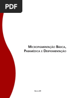 micropigmentacao_basica_paramedica_e_despigmentacao.pdf