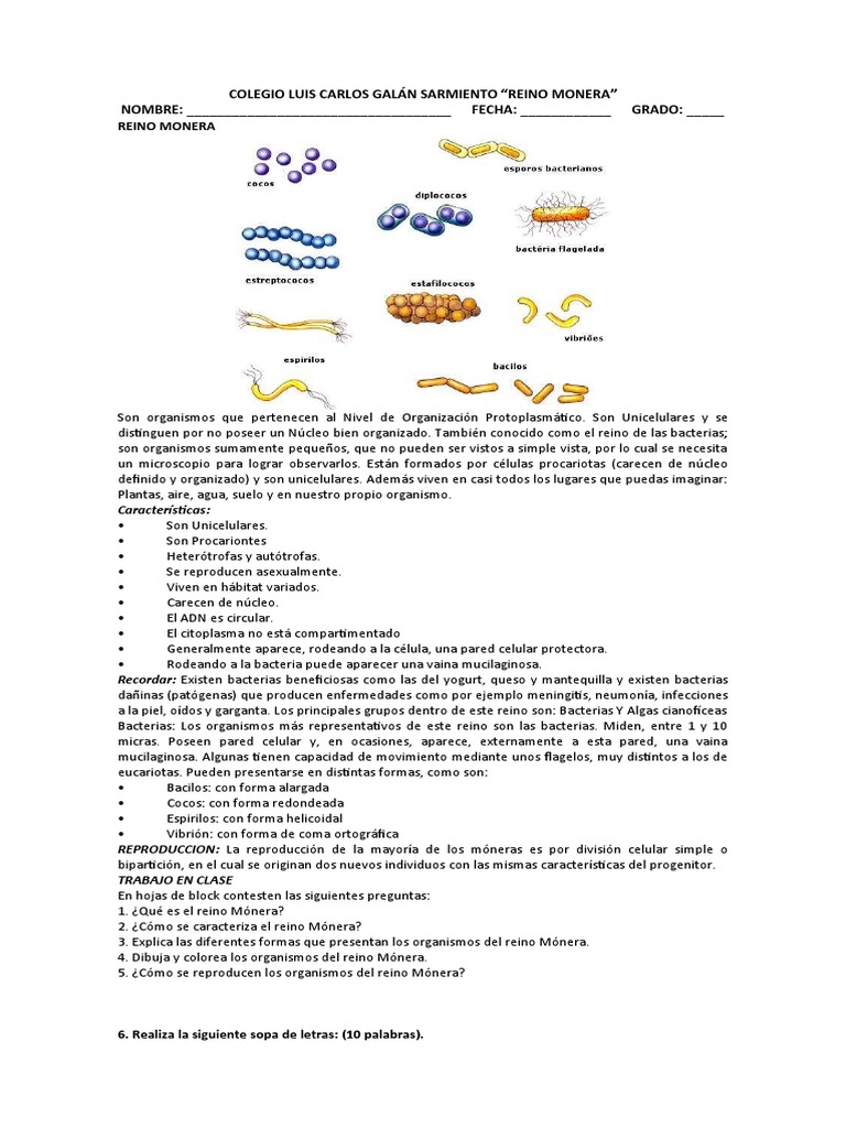 Reino Mónera | PDF | Las bacterias | Biología Celular)