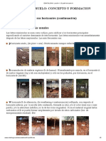 EDAFOLOGIA. Lección 1. El perfil del suelo 4_.pdf