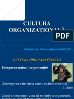 Cultura Organizatiei
