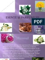 Chimie-Esențe și parfumuri.pptx