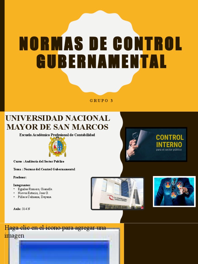 Normas de Control Gubernamental en Auditoría | PDF | Calidad (comercial ...