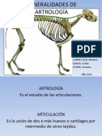 Generalidades de Artrologia