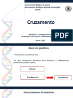 Cruzamentos em animais: heterose e capacidade de combinação