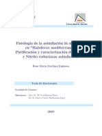 Fisiologia de La Asimilacion de Nitrogeno en Haloferax Mediterranei Purificacion y Caracterizacion de Nitrato y Nitrito Reductasas Asimilativas 0