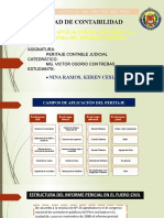 Campo de aplicación y estructura del informe