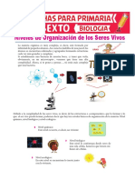 Niveles de Organización de Los Seres Vivos para Sexto de Primaria