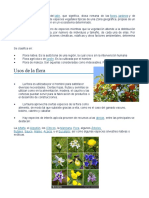 Flora y fauna.docx