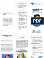 Folleto Seguridad Quimica PDF