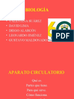 APARATO CIRCULATORIO
