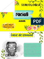 DIBUJOS DE FACIES - PDF Versión 1