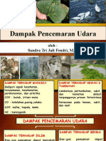 Dampak Pencemaran Udara