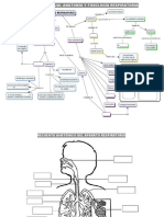 Mapa Conceptual Anatomía y Fisiología Respiratoria