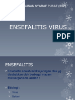 Ensefalitis