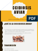 Coccidiosis Aviar