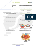 149_Envoltorios_celulares_e_citoplasma_-_Resumo.pdf