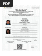 Ejemplo de Dpi Formato para Hacer | PDF
