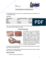 MICROBIOLOGÍA 15.07.17 Clostridium perfringens y Clostridium difficile