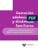 Gestación Adolescente y Dinámicas Familiares - Estudios Familiares