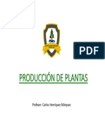PRODUCCIÓN DE PLANTAS 2018.pdf
