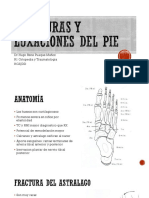 Fracturas y luxaciones del pie.pdf