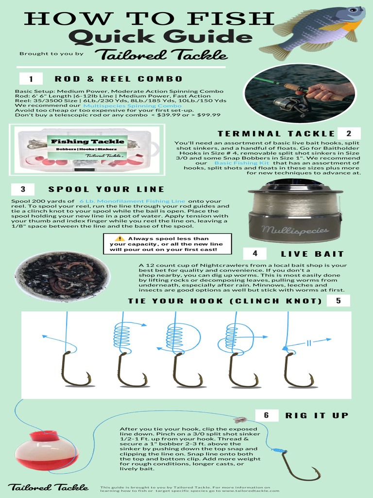 basic fishing lure guide pdf Carving: Hays, Greg: 9780764325052 Books  New Cheat Sheet 