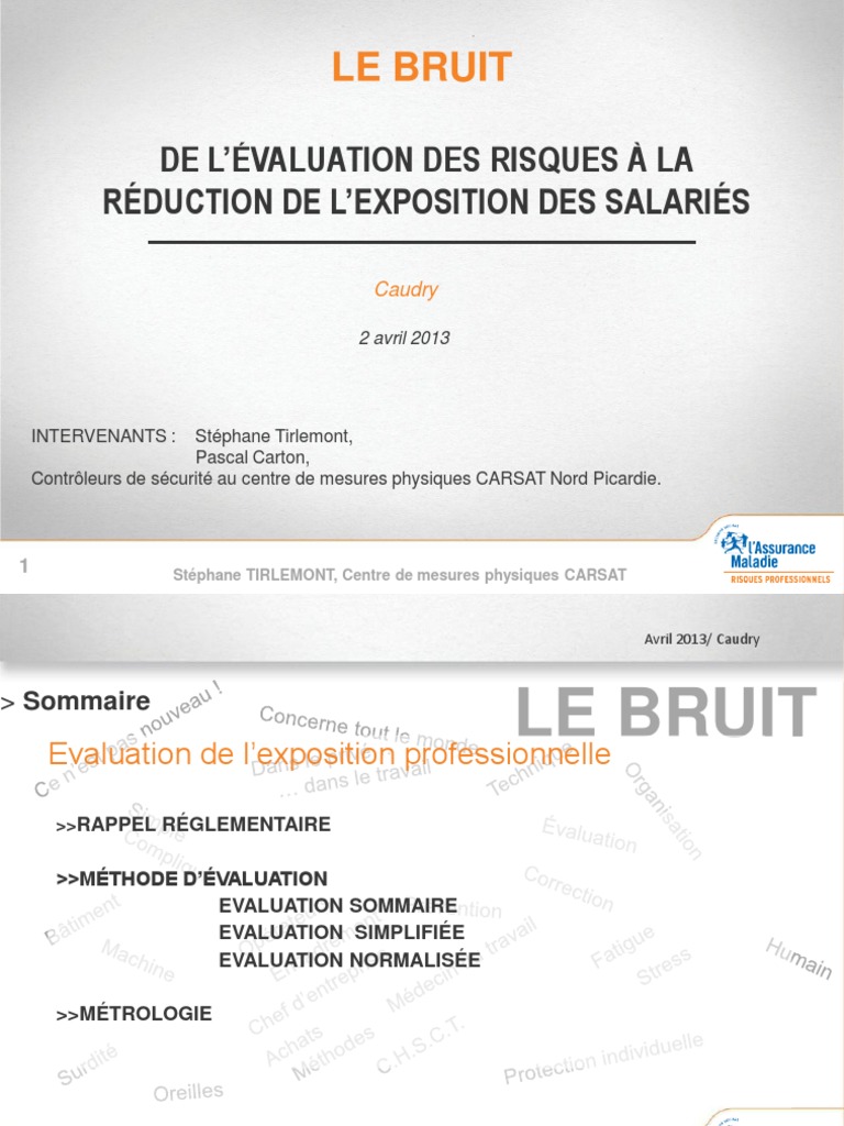 Évaluation des risques liés au bruit au travail | PDF | Bruit | Audition